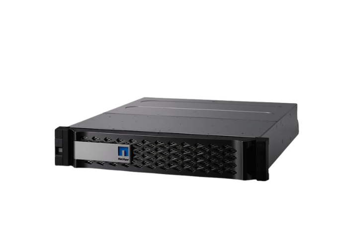 NetApp FAS2520 Storage System